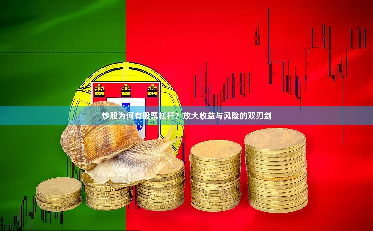 炒股为何有股票杠杆？放大收益与风险的双刃剑